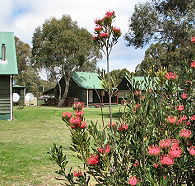 Derwent Bridge Chalets and Studios - Coogee Beach Accommodation
