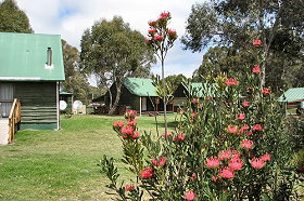 Derwent Bridge Chalets And Studios - Coogee Beach Accommodation 0
