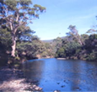 Douglas River Cabin - Coogee Beach Accommodation