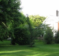 Oakdene Heritage Accommodation - Coogee Beach Accommodation