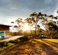Bruny Island Experience - Coogee Beach Accommodation