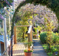 Penarth Haven - Coogee Beach Accommodation