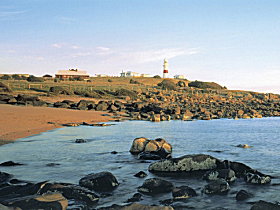 George Town Motor Inn - Coogee Beach Accommodation 0