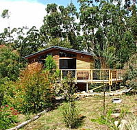 Southern Forest Accommodation - Coogee Beach Accommodation
