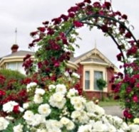 Golden Embers Apartments and B and B - Coogee Beach Accommodation