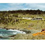 Kabuki by the Sea - Coogee Beach Accommodation