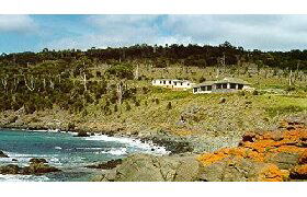 Kabuki By The Sea - Coogee Beach Accommodation 0