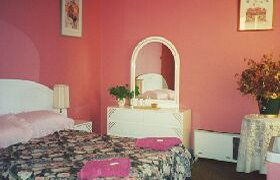 Ringwood Hotel - Coogee Beach Accommodation 0