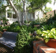 Topiary Haven - Coogee Beach Accommodation