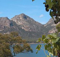 Freycinet on the Bay - Coogee Beach Accommodation