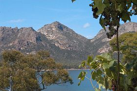 Freycinet On The Bay - Coogee Beach Accommodation 0