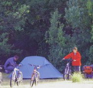 Maria Island Camping Ground - Coogee Beach Accommodation