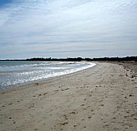 Greens Beach Caravan Park - Coogee Beach Accommodation