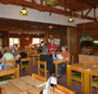 Seabrook Hotel Motel - Coogee Beach Accommodation