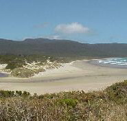 Cloudy Bay Cabin - Coogee Beach Accommodation