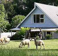 Hide-Away Cottage Retreat - Coogee Beach Accommodation