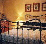Thyme Cottage - Coogee Beach Accommodation