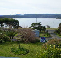 Rocking Horse Cottage - Coogee Beach Accommodation