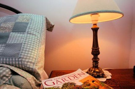 Wilmot Arms Inn - Coogee Beach Accommodation 4