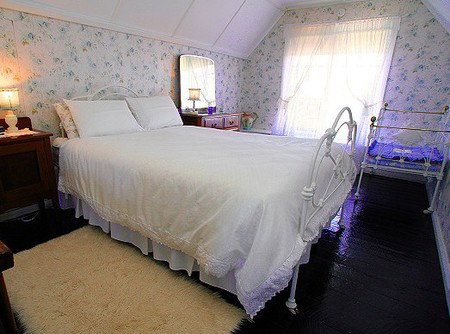 Lester Cottages Complex - Coogee Beach Accommodation 4
