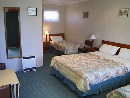 Wintersun Gardens Motel - Coogee Beach Accommodation 4