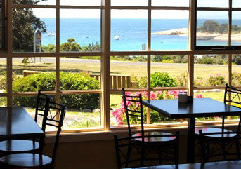 Beachfront Bicheno - Coogee Beach Accommodation 3