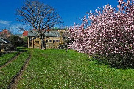 Forget-Me-Not Cottage - Coogee Beach Accommodation 3