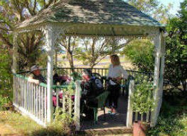 Westella House - Coogee Beach Accommodation 2