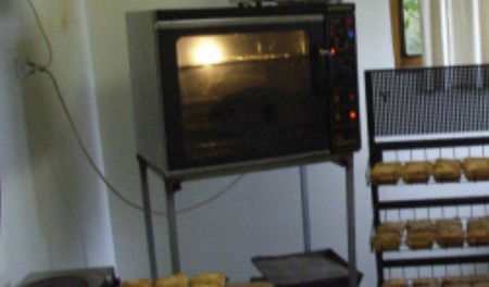 Springfield Deer Farm - Coogee Beach Accommodation 1