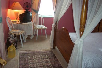 Castle Forbes Bay House - Coogee Beach Accommodation 2