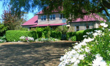 Redcliffe House - Coogee Beach Accommodation 5