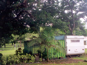 Cooktown Orchid Travellers Park - Coogee Beach Accommodation 0