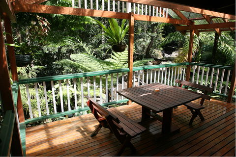 Daintree Secrets (Award Winning Retreat) - Coogee Beach Accommodation 3