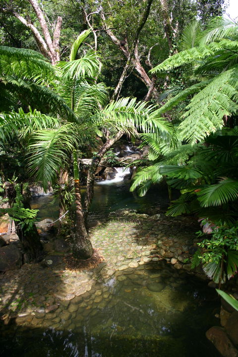 Daintree Secrets (Award Winning Retreat) - Coogee Beach Accommodation 4