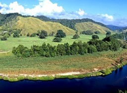 Tranquility On The Daintree - Coogee Beach Accommodation 2