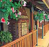 Curtain Fig Motel - Coogee Beach Accommodation
