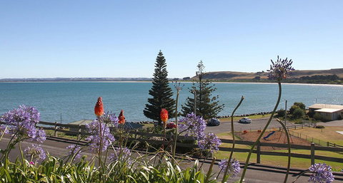 Captains Cottage - Coogee Beach Accommodation 5