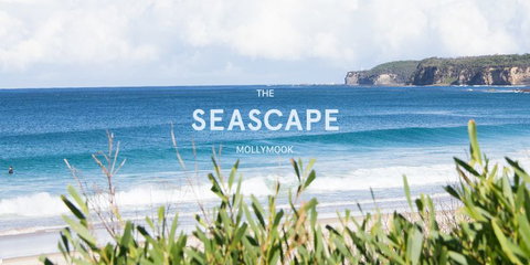 Mollymook Seascape Motel - Coogee Beach Accommodation 1