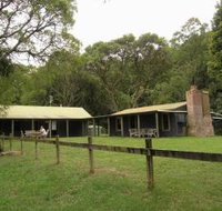 Tree Fern Lodge - Coogee Beach Accommodation