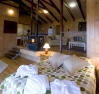 Treetops Seaview Montville - Coogee Beach Accommodation