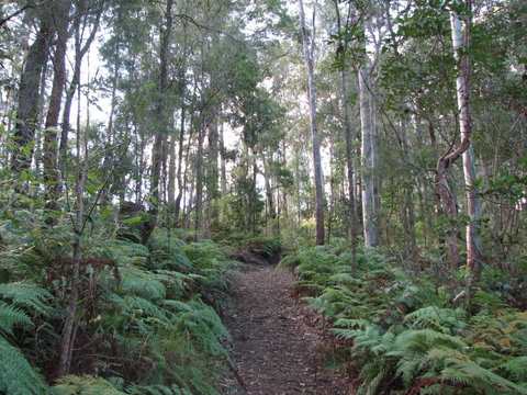 Maleny Country Cottages - Coogee Beach Accommodation 1