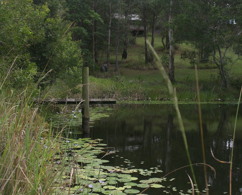 Maleny Country Cottages - Coogee Beach Accommodation 4