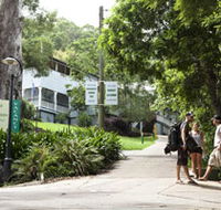 Halse Lodge Backpackers Hostel YHA - Coogee Beach Accommodation