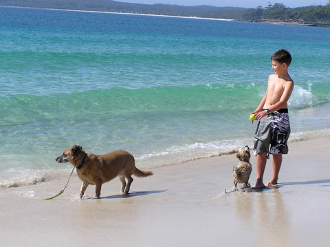 A Paradise Bungalow Waterfront - Coogee Beach Accommodation 1