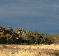 Namadgi National Park - Coogee Beach Accommodation