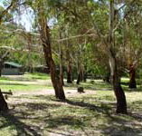 Woods Reserve - Coogee Beach Accommodation