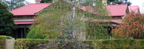 Silver Birch Bed & Breakfast - Coogee Beach Accommodation 4