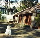 Bernadette Cottage - Coogee Beach Accommodation