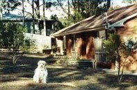 Bernadette Cottage - Coogee Beach Accommodation 0