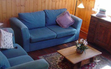 Red Dog Retreat - Coogee Beach Accommodation 4